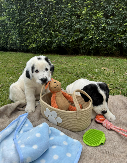 Huxley Barker Puppy Gift Basket