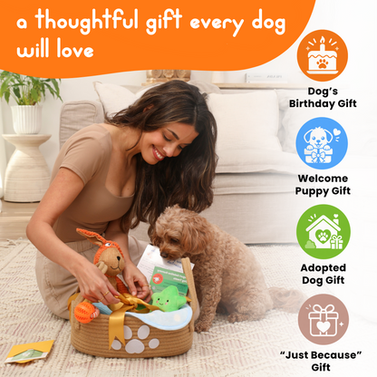 Huxley Barker Dog Gift Basket