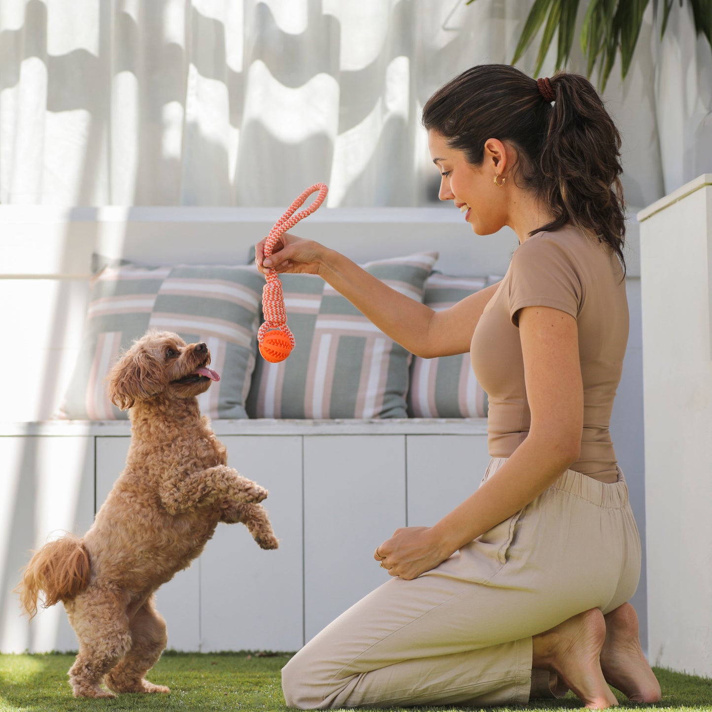 new dog parent playing with a dog using a chew toy from the dog essentials gift basket