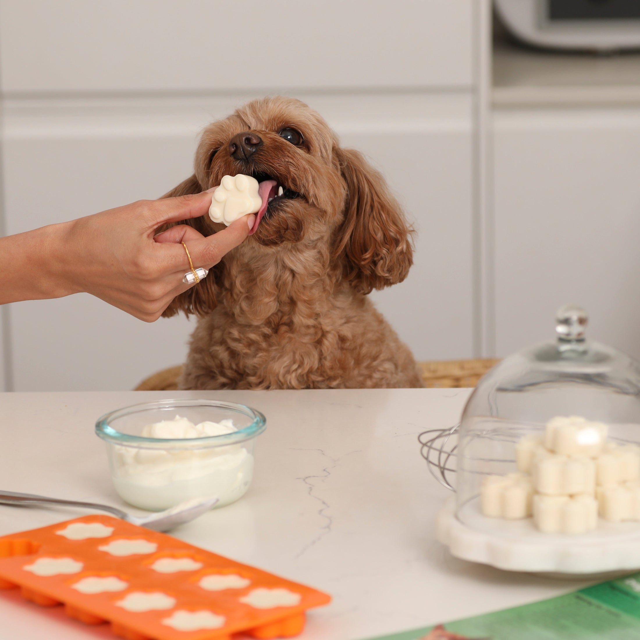 Dog treats Huxley Barker recipes 